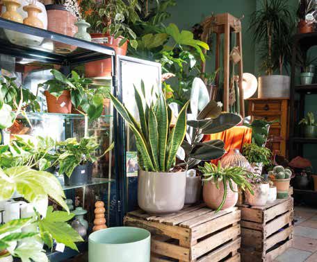 室內花園