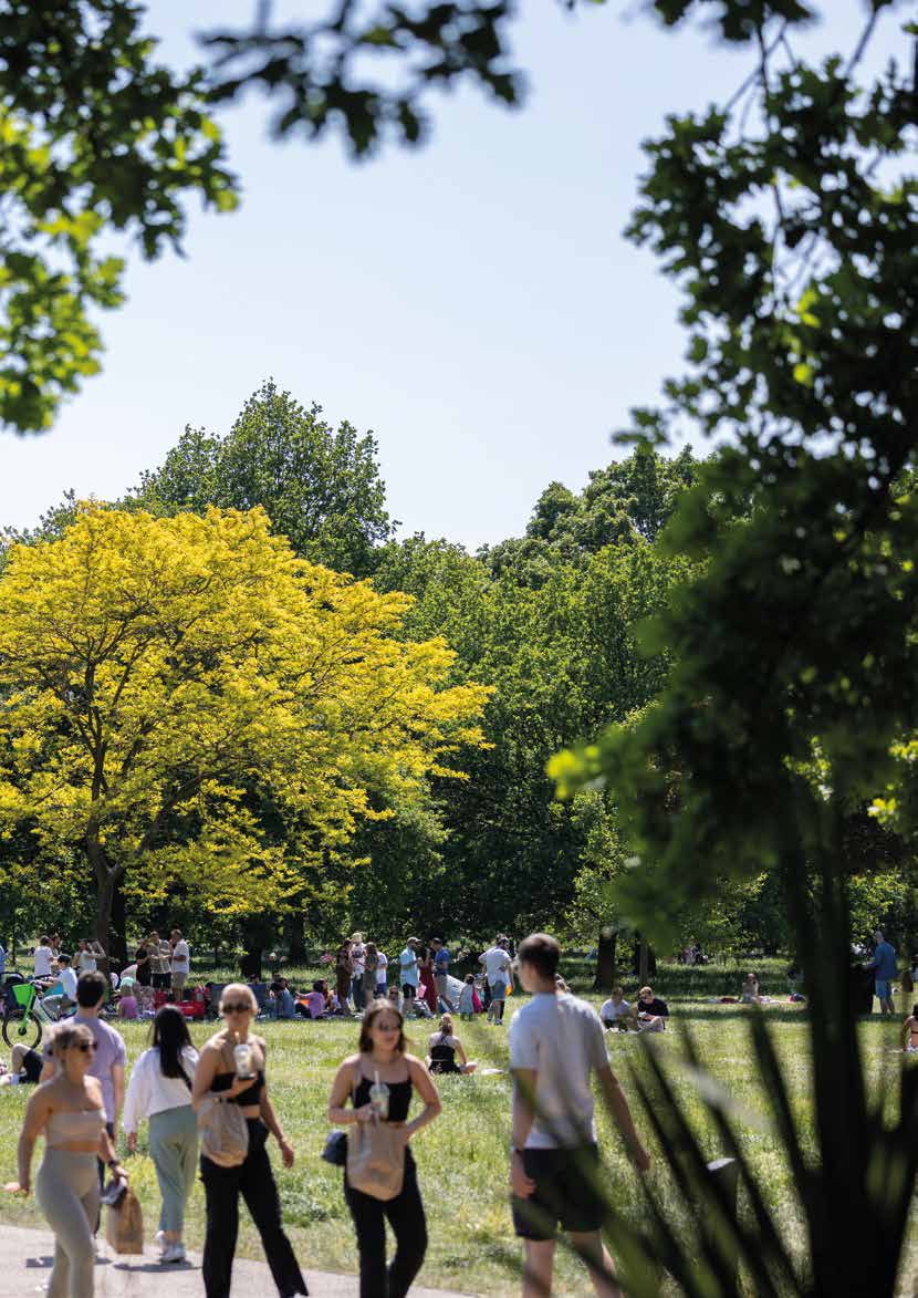 公園綠地
